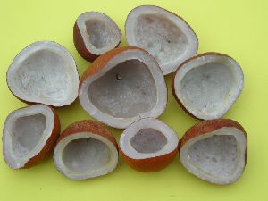 Dried Coconut Copra