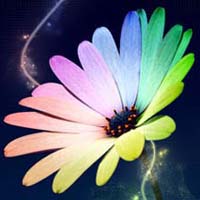 Fluorescent Colors