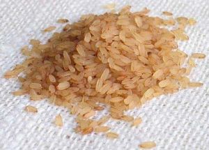 Rosematta Rice