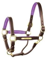 Leather Halter