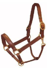 leather head collar