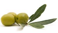 Olives