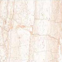 250x325 Ceramic Digital Wall Tiles