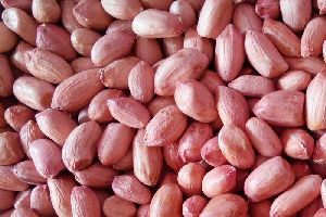 Groundnut Kernels