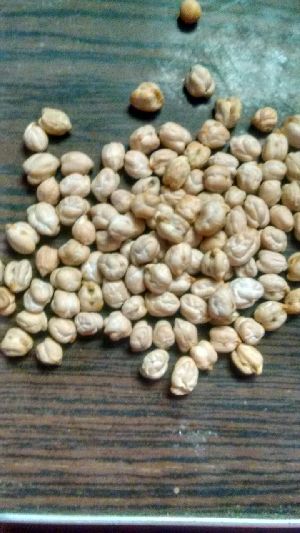 White Chickpeas