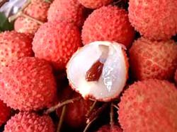 Litchi Honey