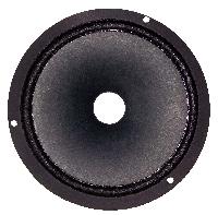 Car Speaker Cones
