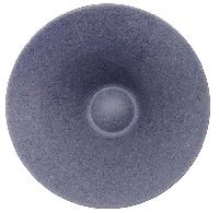 Dual Speaker Cone