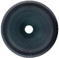 PA Speaker Cones
