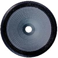 PA Speaker Cones