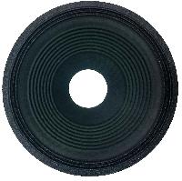 PA Speaker Cones