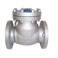 Check Valves