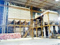 cattle feed plants