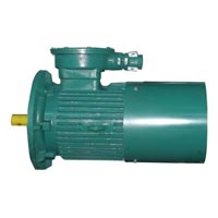 YBS Series Explosion Proof Asynchronous Motor (YBS-3)