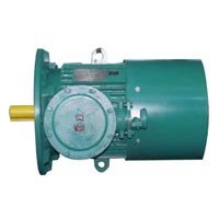 YBS Series Explosion Proof Asynchronous Motor (YBS-4)