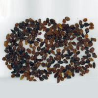 Brown Raisins