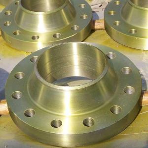 Alloy Steel Flanges