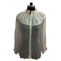 Shimmer Georgette Shirt