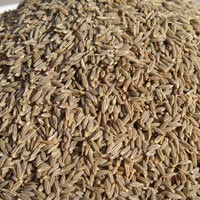 Cumin Seeds