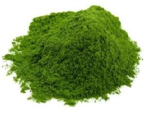 Curry Leaves Powder