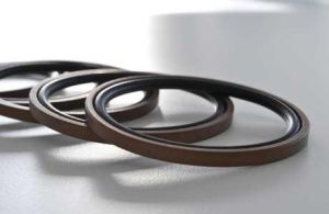 Piston Seals - D-seal