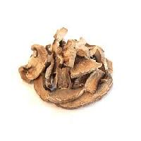 dry portobello mushroom