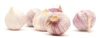 Himalayan Single Clove Garlic