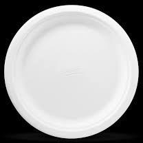 paper dinner plate