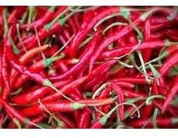 Teja Red Chillies