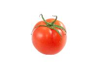 Cherry Tomato