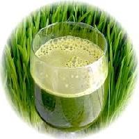 Wheat Grass Giloy Amla Juice