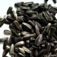 Grey Sunflower Seeds