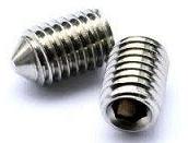 Gurb Screw Pointed