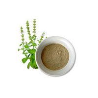 Tulsi Powder