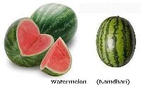 Fresh Watermelon