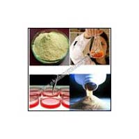 Yeast Extract Powder-Meat Extract & Biological Extract