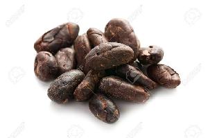 cocoa nibs