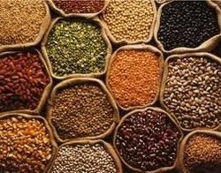 Organic Indian Pulses