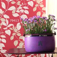 Decorative Wallpapers