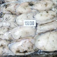 Frozen Cuttlefish Whole Uncleaned