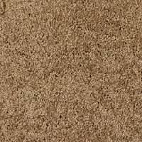 Cut Pile Carpets