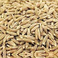 Cumin Seed