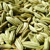 Fennel Seed