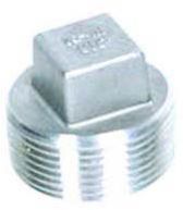 Alloy Steel Square Plug