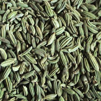 Fennel Seeds