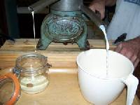 milk cream separator