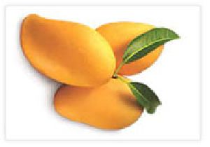 Alphonoso Mango Pulp