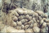 manila hemp fibers