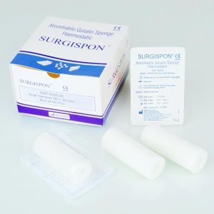 Absorbable Gelatin Sponge (Anal Tampon)