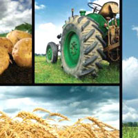 Agriculture Consultancy Consultancy To Farmers